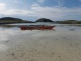 /album/fotogalleri/p1010637-jpg/